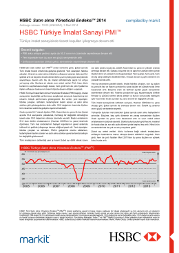 HSBC Turkey Manufacturing PMI report - February 2014