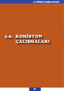 21.DONEM CALISMA RAPORU_1.indd