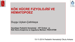 PowerPoint Sunusu - Türk Pediatrik Hematoloji Derneği