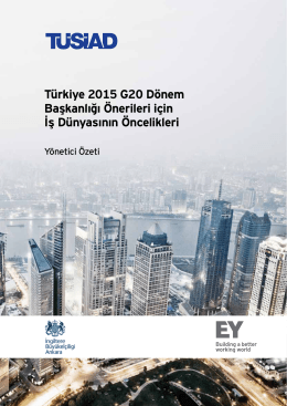 Türkiye 2015 G20 Dönem Başkanlığı Önerileri için İş