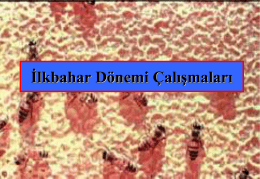 Belge_İlkbahar dönemi çalışmaları_SUGLD