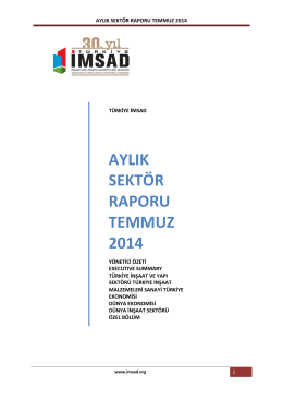 aylık sektör raporu temmuz 2014