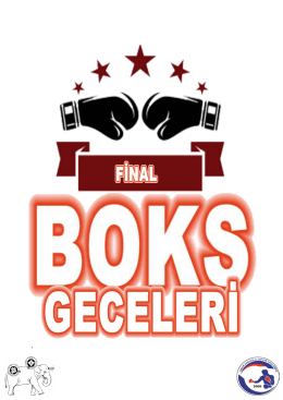 final boks geceleri - Hayrettin Dikkanoğlu