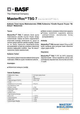 MasterRoc® TSG 7 (Eski Adı MEYCO® TSG 7) Kalkanlı