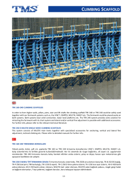 clımbıng scaffold - TMS Formwork & Scaffolding Systems