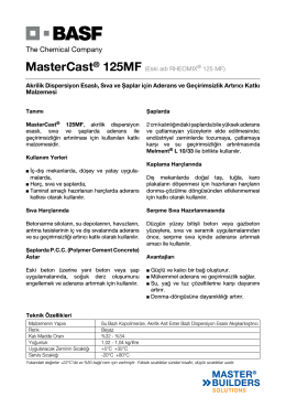 MasterCast® 125MF (Eski adı RHEOMIX® 125 MF) Akrilik