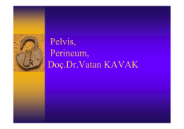 Pelvis, Perineum, Doç.Dr.Vatan KAVAK