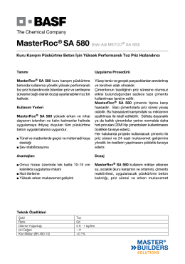 MasterRoc® SA 580 (Eski Adı MEYCO® SA 580) Kuru