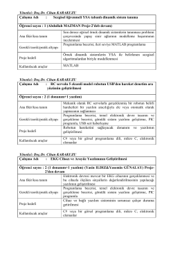 Yönetici: Doç.Dr. Cihan KARAKUZU Çalışma Adı : Sezgisel