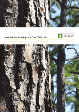Amerikan Yumuşak Ağaç Türleri