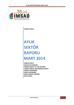 aylık sektör raporu mart 2014