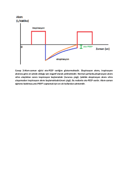 Cevap 3:Akım-zaman eğrisi oto-PEEP varlığını göstermektedir