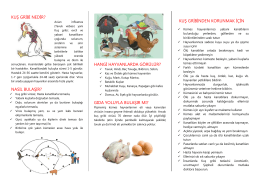 Kuş Gribi - Ankara İl Gıda Tarım ve Hayvancılık Müdürlüğü