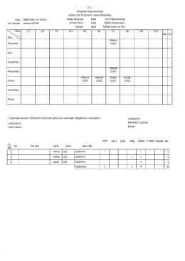 T.C. Akçaabat Kaymakamlığı Işıklar Çok Programlı Lisesi Müdürlüğü