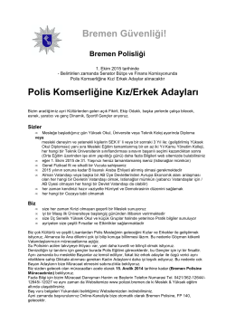 Stellenausschreibung auf türkisch als PDF