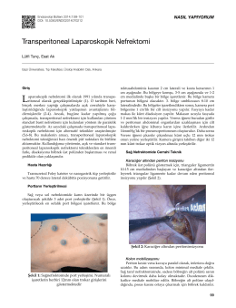 Transperitoneal Laparoskopik Nefrektomi