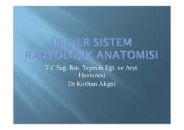 T.C Sağ. Bak. Tepecik Eğt. ve Arşt. Hastanesi Dr Korhan Akgül