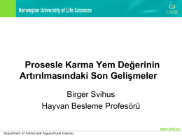 Prof. Dr. Birger SVIHUS