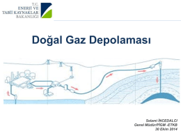 Selami İncedalcı - Türkiye Uluslararası Yeraltı Doğal Gaz Depolama