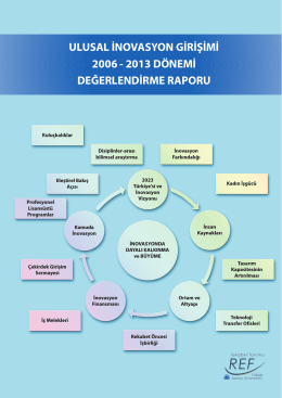 Ulusal İnovasyon Girişimi 2006-2013 Değerlendirme Raporu