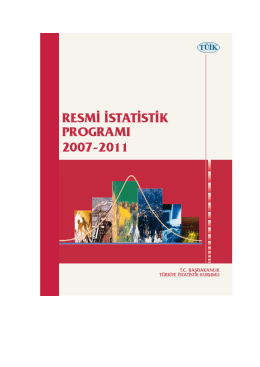 2007-2011 RİP - Resmi İstatistik Programı