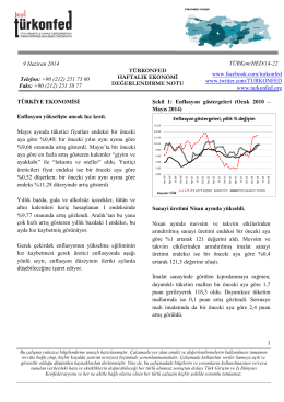 Haftalık Ekonomi Değerlendirme Raporu – 10.06.2014