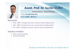 Assist. Prof. Dr. Serdar DURU
