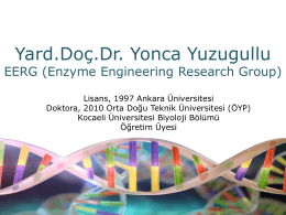 Assist. Prof. Dr. Yonca Yüzügüllü - Middle East Technical University
