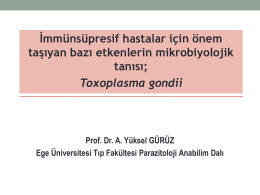 Yüksel GÜRÜZ - Ankara Mikrobiyoloji Derneği