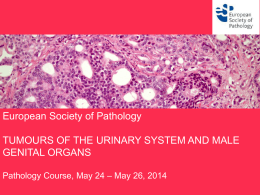 European Society of Pathology TUMOURS OF THE URINARY