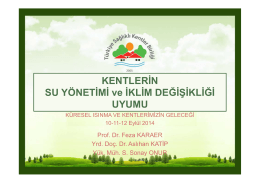 Prof.Dr. Feza KARAER - Türkiye Sağlıklı Kentler Birliği
