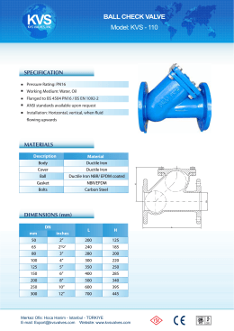 63 Ball check valve