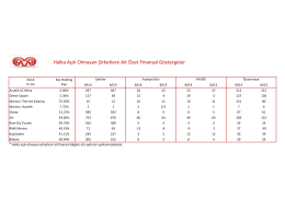 Halka Açık Olmayan Şirketlere Ait Özet Finansal