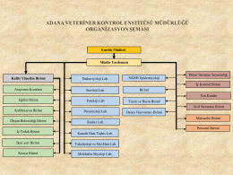 adana veteriner kontrol enstitüsü müdürlüğü organizasyon şeması