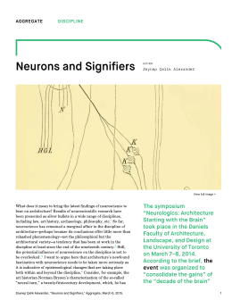 Aggregate – Neurons and Signifiers