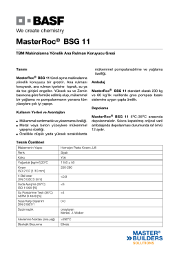 MasterRoc® BSG 11