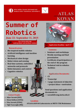 Summer of Robotics
