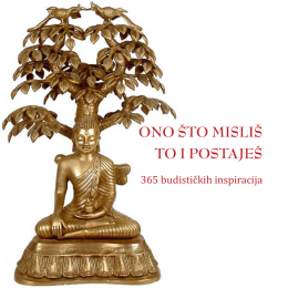 Ono što misliš, to i postaješ: 365 budističkih inspiracija