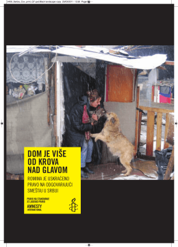 Amnesty International Report.pdf