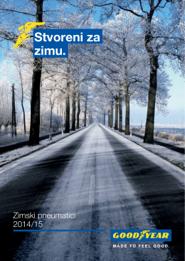PDF – Goodyear Katalog guma ZIMA 2014
