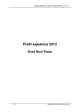 Profil zajednice Grada Novog Pazara 2013.god