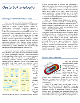 Mikrobiologija NS.pdf