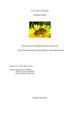 Medonosna pčela (Apis mellifera)