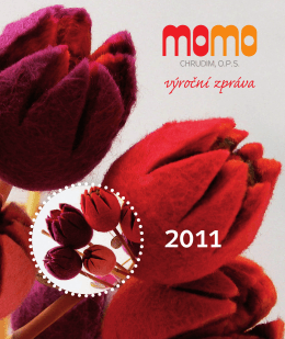 Momo Výroční zpráva 2011