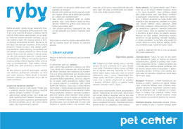 Ryby - Pet Center