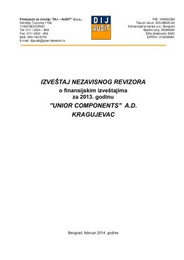 izveštaj nezavisnog revizora o finansisjkikm izveštajima za 2013