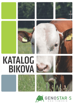 Katalog bikova Genostar 2014.cdr