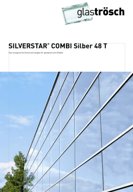SILVERSTAR® COMBI Silber 48 T