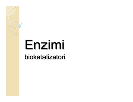 Enzimi - Biolozi 2011/12