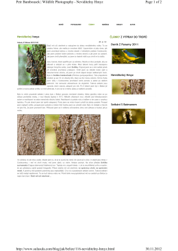 Page 1 of 2 Petr Bambousek | Wildlife Photography